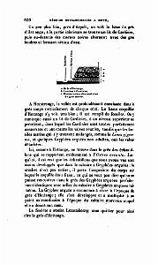 BULLETIN DE LA SOCIETE GEOLOGIQUE DE FRANCE 1852_000655